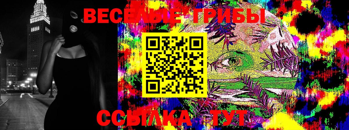 Псилоцибиновые грибы GOLDEN TEACHER  где купить наркотик  Азнакаево  Вход с VPN  Псилоцибиновые грибы MAGIC MUSHROOMS 
